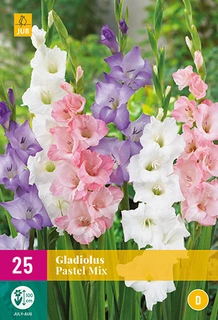 Gladiolus Pastel Mix 25st