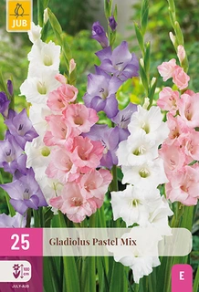 Gladiolus Pastel Mix 25st