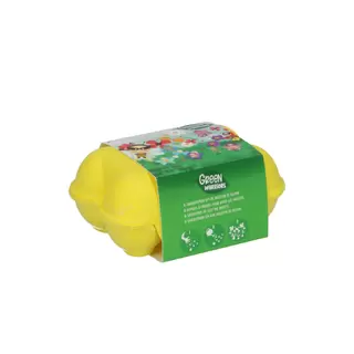 Green Warriors® Eierdoosje - 6 zaadbommetjes