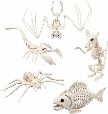 Halloween Dierenskelet (keuze uit 5 variaties)