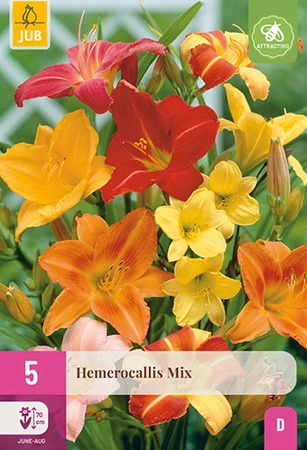 Hemerocallis Mix 5st