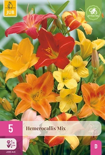 Hemerocallis Mix 5st