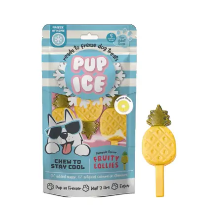 Hondenijsje Fruitlollie - Ananas  - afbeelding 1