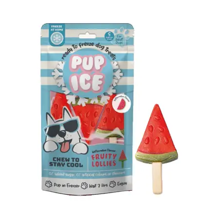 Hondenijsje Fruitlollie - Watermeloen - afbeelding 1