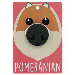 Hondenriemhanger Pomeranian