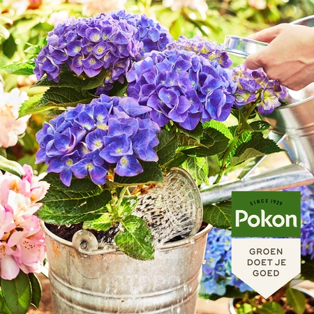 Hortensia Potgrond Bio 30L - afbeelding 3