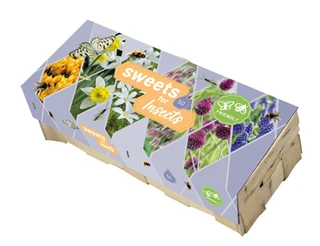 Houten Kistje Sweets For Insects - 50 bloembollen