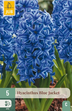 Hyacint Blue Jacket