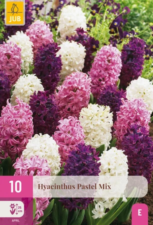Hyacinthus Pastel Mix - 10 bloembollen