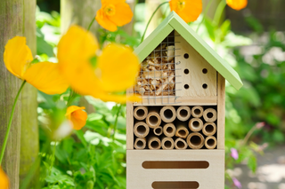 Insecten- en dierenhuisjes