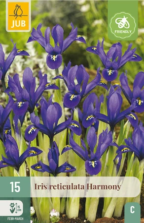 Iris Harmony - 15 bloembollen