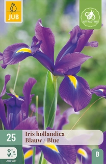Iris Hollandica Blauw 25st