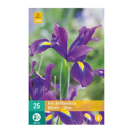 Iris Hollandica Blauw 25st