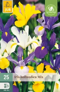 Iris Hollandica Mix - 25 bloembollen