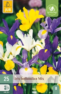 Iris Hollandica Mix 25st