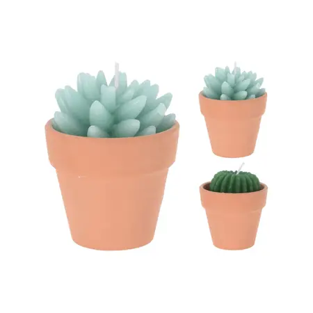 Kaars In Cactusvorm (assorti)