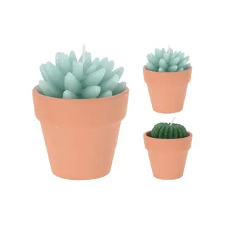 Kaars In Cactusvorm (assorti)