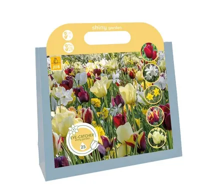 Kadoverpakking Eye-catchers Shiny Garden - 25 bloembollen