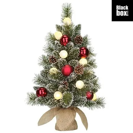 Kerstboom Kaprun Frosted H60cm - met verlichting - afbeelding 1