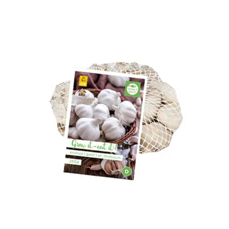 Knoflook Casablanca 250g