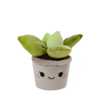 Knuffelplant Pluche Large - Crassula