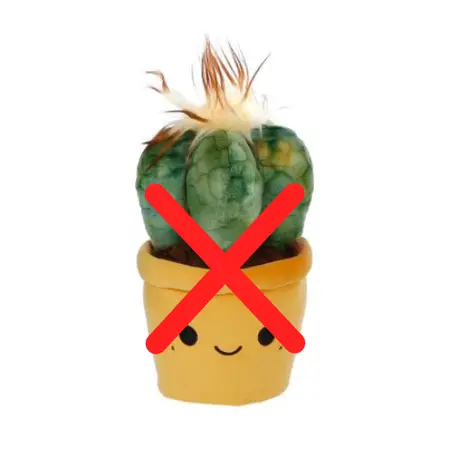 Knuffelplant Pluche 19-27cm - diverse varianten - afbeelding 5