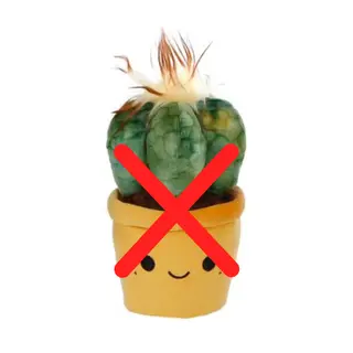 Knuffelplant Pluche 19-27cm - diverse varianten - afbeelding 5