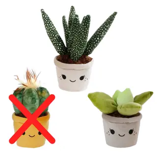 Knuffelplant L  Pluche 19-27cm - diverse varianten