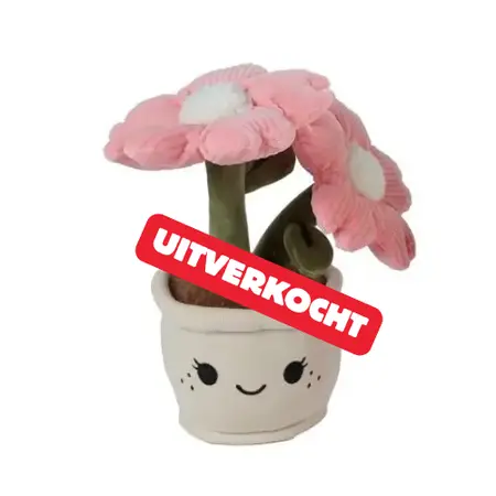UITVERKOCHT!