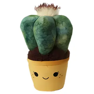 Cactus in gele pot 