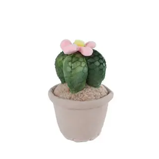 Knuffelplant Pluche Woestijnplant Roze bloem
