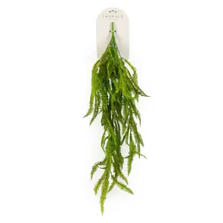 Krulvaren Hangend 85cm Groen