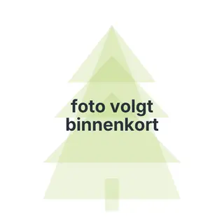 Kunstkerstboom Carmanah Slim Green H215 x Ø100 cm - Black Box Trees