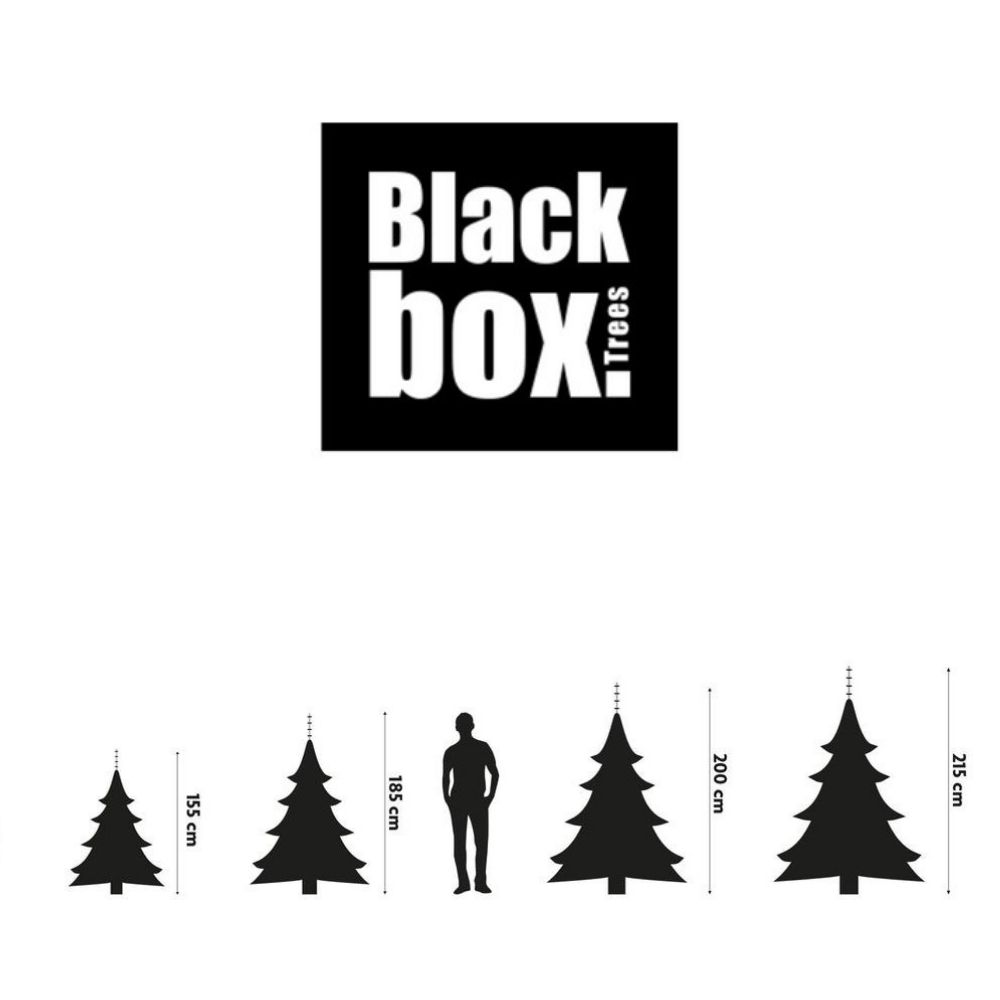 Black Box Trees - Kingston Met Verlichting 