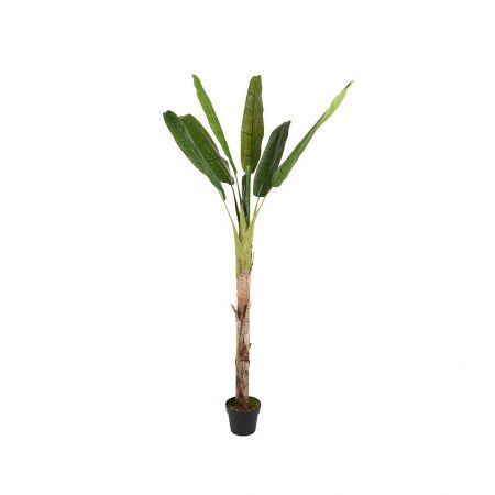 Kunstplant bananenboom 200 cm hoog