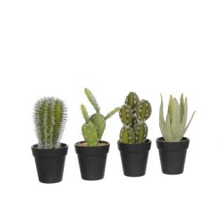Kunstplant Cactus In Pot 18 cm - verschillende uitvoeringen | De Tuinwinkel Online
