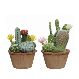 Kunstplant Cactusmix In Terracotta Pot