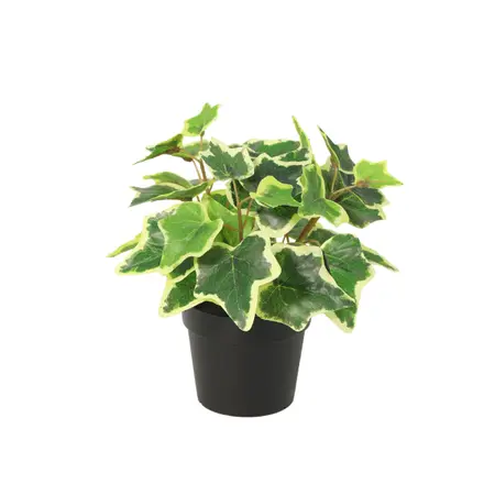 Kunstplant Hedera White Ivy - 19cm