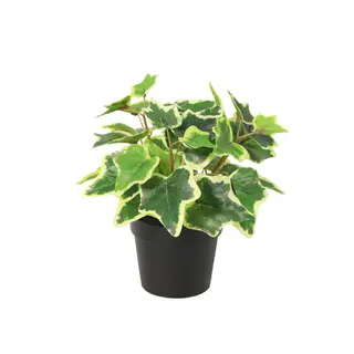 Kunstplant Hedera White Ivy - 19cm