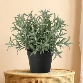 Kunstplant Helichrysum Italicom - 18cm - afbeelding 2