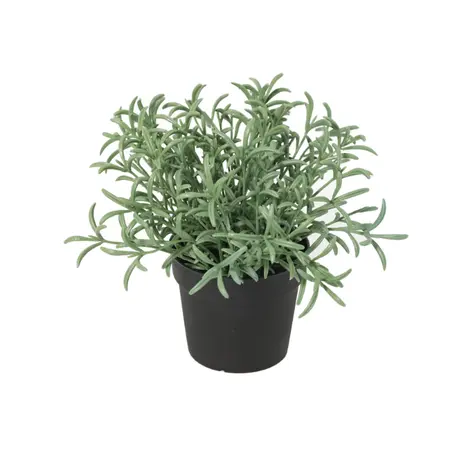 Kunstplant Helichrysum Italicom - 18cm - afbeelding 1