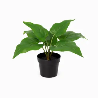 Kunstplant Philodendron Imperial Green - 25cm