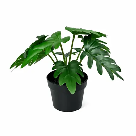 Kunstplant Philodendron Xanadu - 20cm