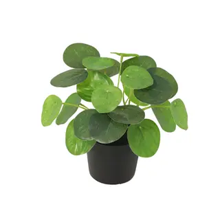 Kunstplant Pilea Peperomioides - 17cm