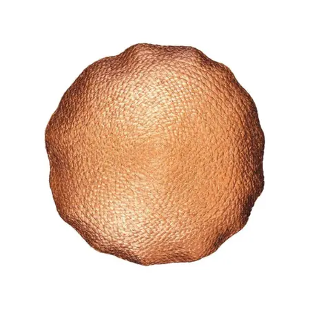 Kussen Metallic 45cm Ø Brons