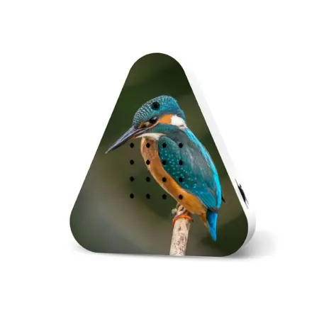 Lakesidebox Limited Edition Spring '25 Kingfisher - Relaxound - natuurgeluiden - afbeelding 1