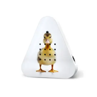 Lakesidebox Limited Edition Spring Baby Duck - Relaxound - natuurgeluiden