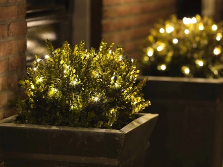 LED Netverlichting Buxus - Lumineo - 120 lampjes warm wit - afbeelding 3