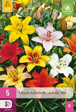 Lilium Aziatisch Mix 5st