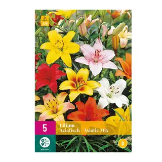 Lilium Aziatisch Mix 5st